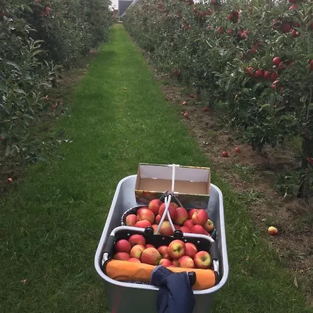 アパート Deichapfel Im Alten Land *