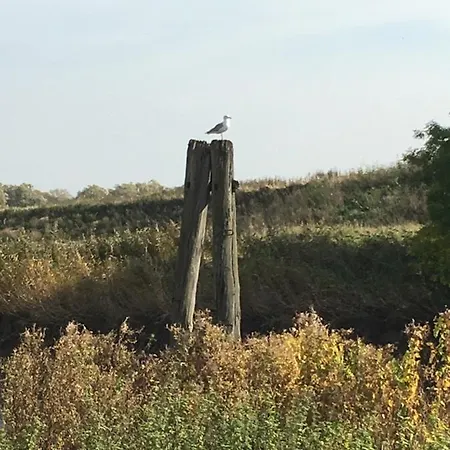 Deichapfel Im Alten Land アパート