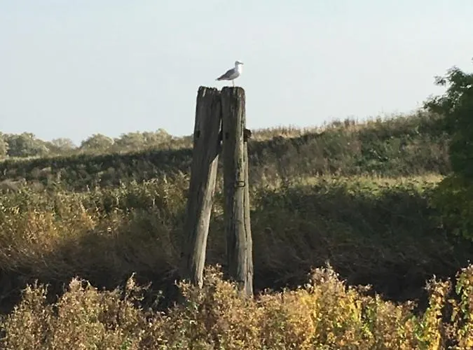 Deichapfel Im Alten Land Lägenhet
